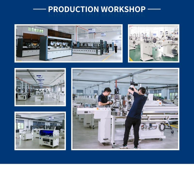 Double Wires Mode Computerized Wire Cutting, Stripping and Twisting Machine