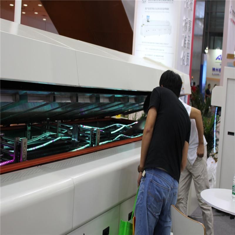 Lead-Free Reflow Soldering Machine/Jaguar Economy SMT Reflow Oven