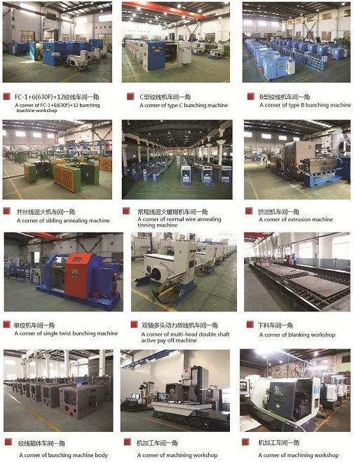 PLC Control Copper Wire Processing Equipment for Stranding Ultra Conductor Wire Bunching Buncher Strander Stranding Machine