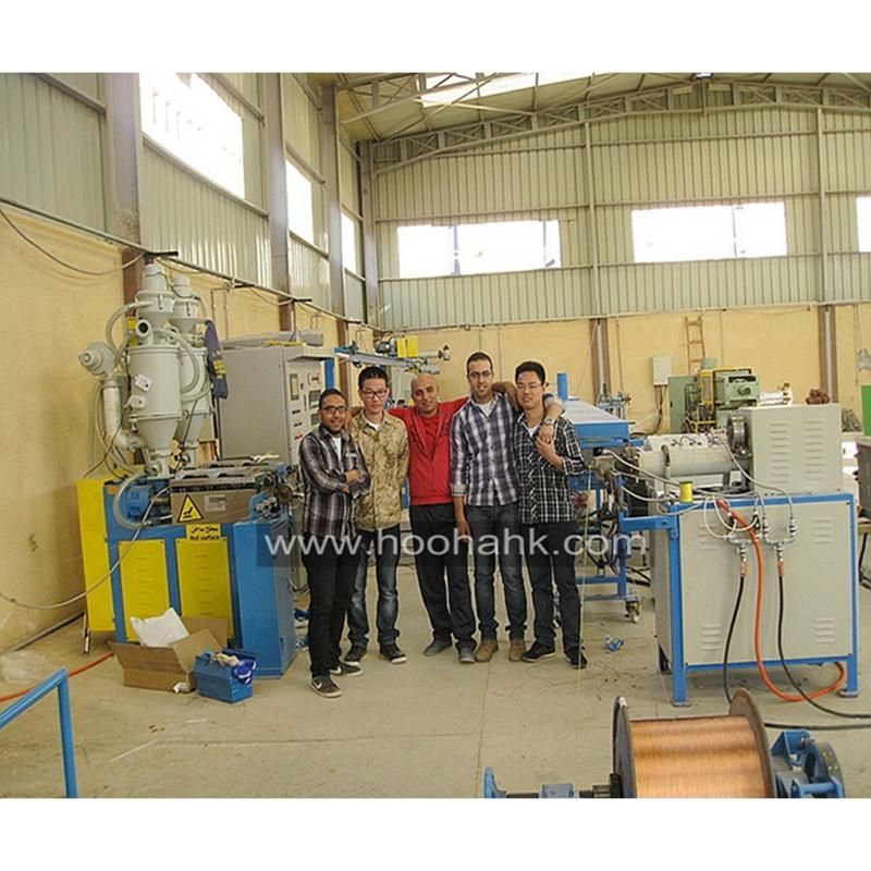 Russia Market PFA/FEP/ETFE Wire Extruding Machine
