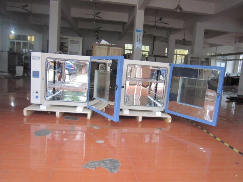 Vertical Electric Heating Constant Temperature Blast Drying Oven