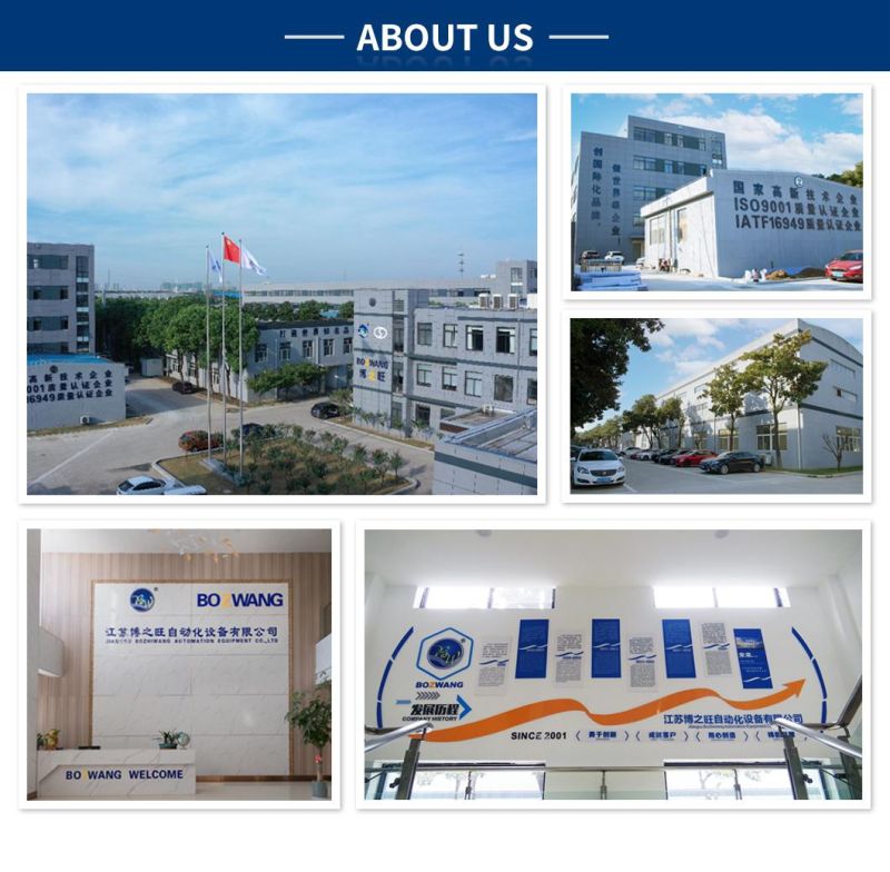 Bzw-100+R Automatic Cutting Machine for Different Kinds of Soft Tubes