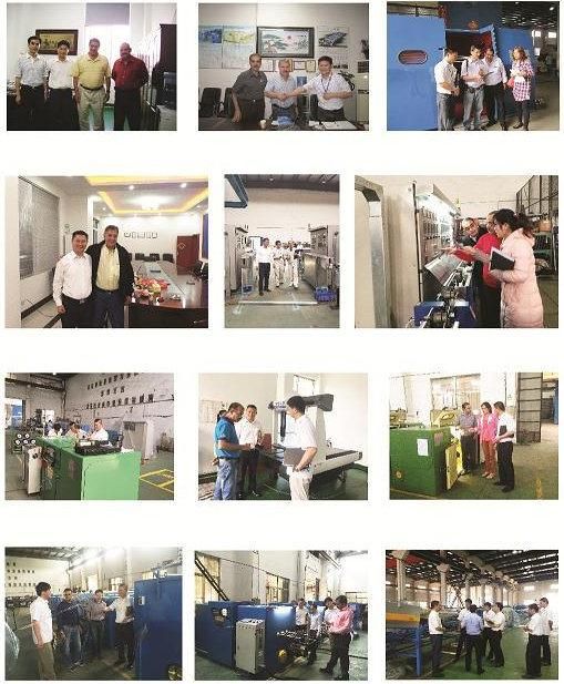 PLC Control Copper Wire Processing Equipment for Stranding Ultra Conductor Wire Bunching Buncher Strander Stranding Machine