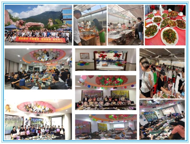 Dual-Track Lead Free 10 Zone SMT Nitrogen High Speed Reflow Oven GDK-1003D-N Good Quanlity SMT Soldering Machine with CE for Assembly Line