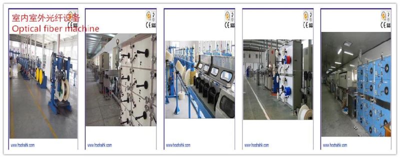 BV Bvr RV Insulated Wire Sheathing Extrusion Machine